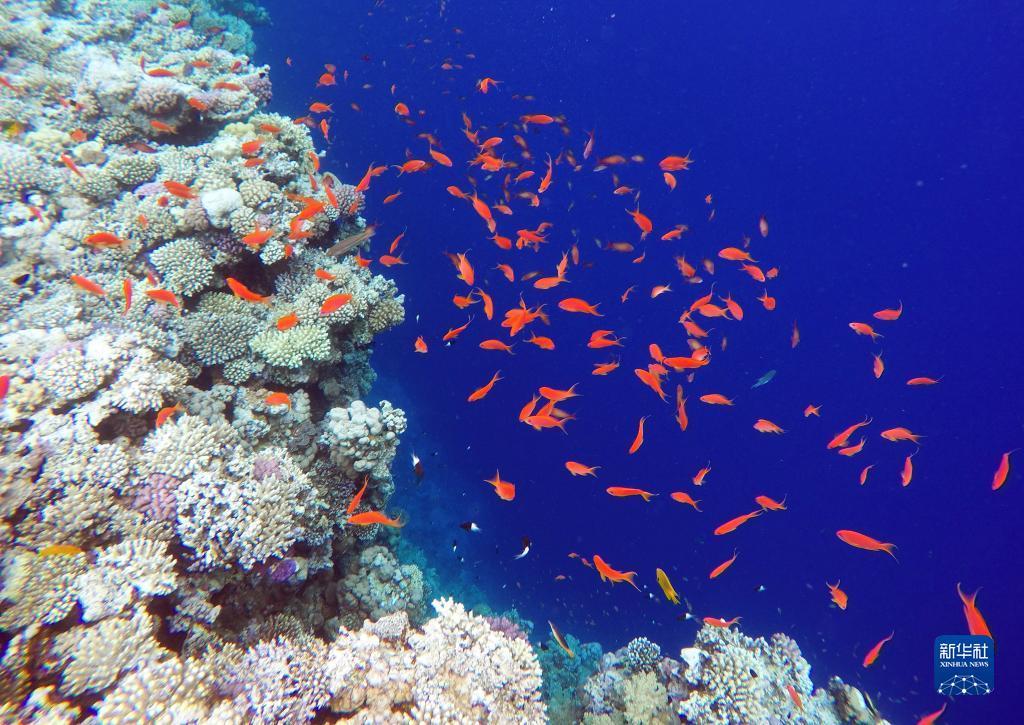 银河网址链接